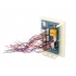 Home-Locking aansluiting voor 4 buiten panelen met ID functie.DT-1143.